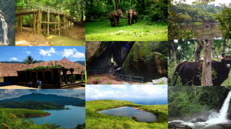 Wayanad