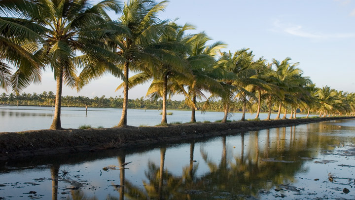 Chettuva Backwaters